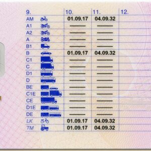 Alternative view of Buy Danish drivers License